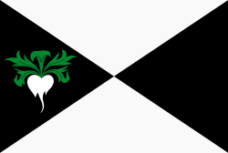 Vlag van Lokeren