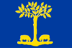 Vlag van Lommel